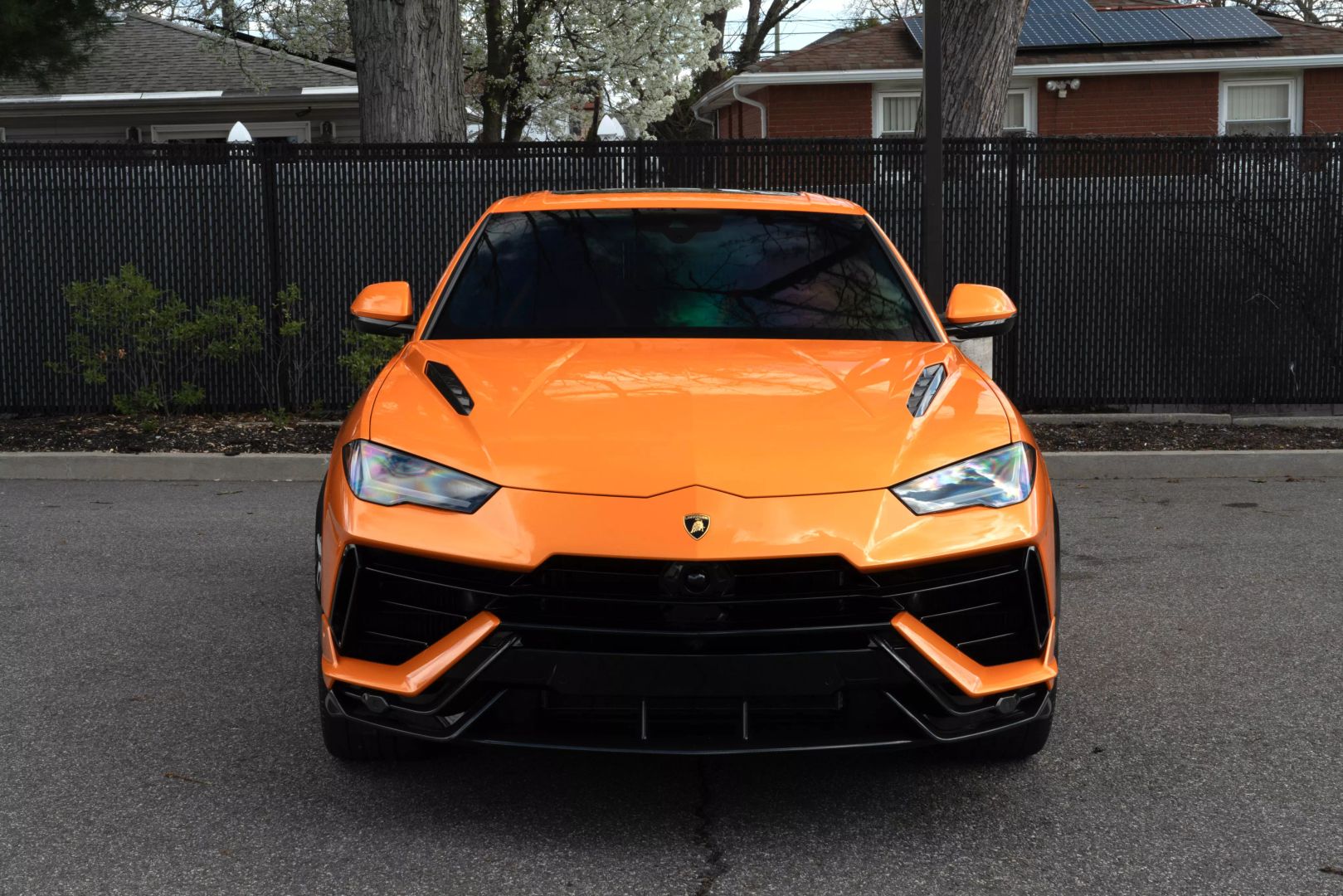2023 Lamborghini Urus - Image 3