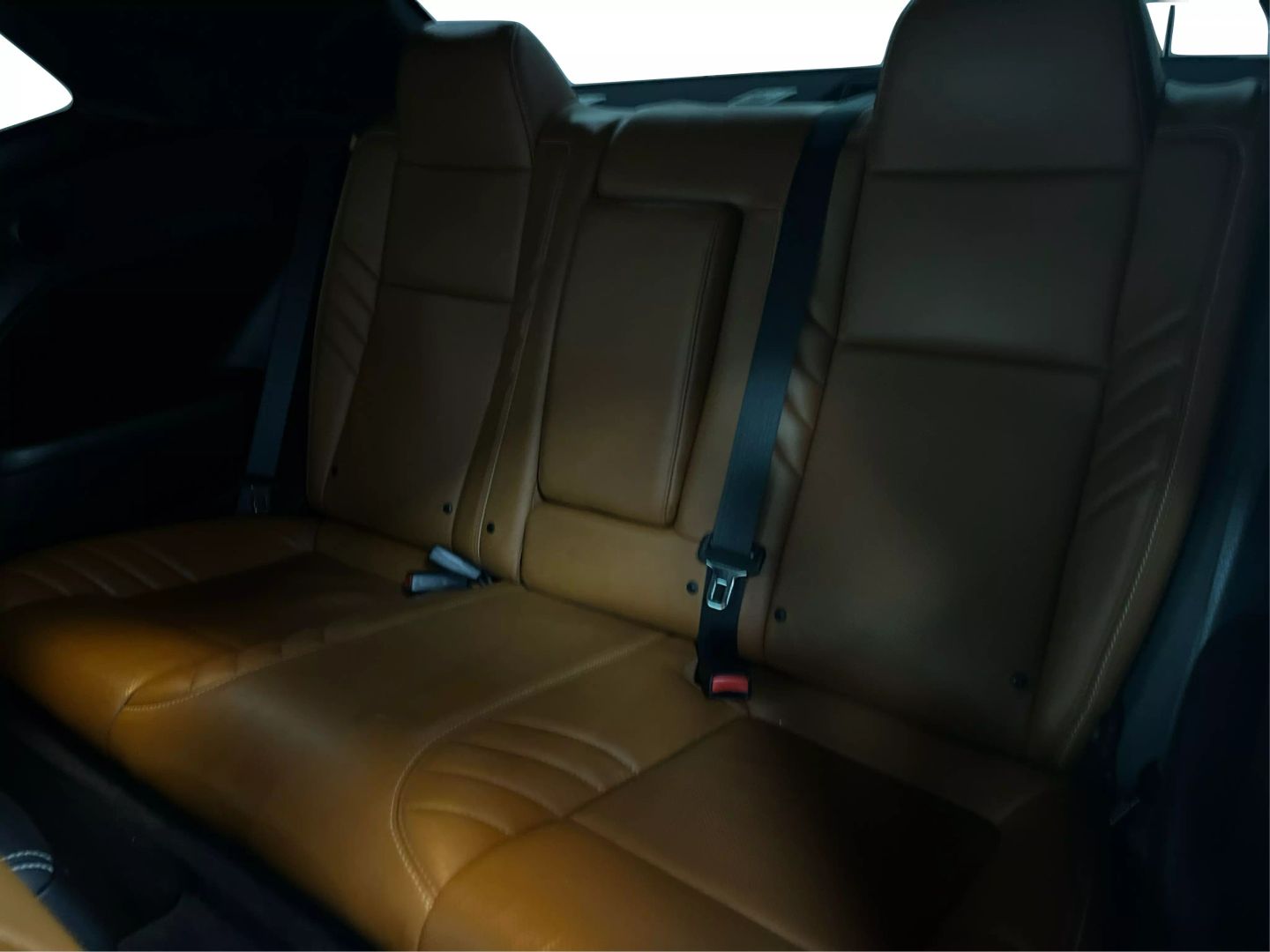 2019 Dodge Challenger - Image 14