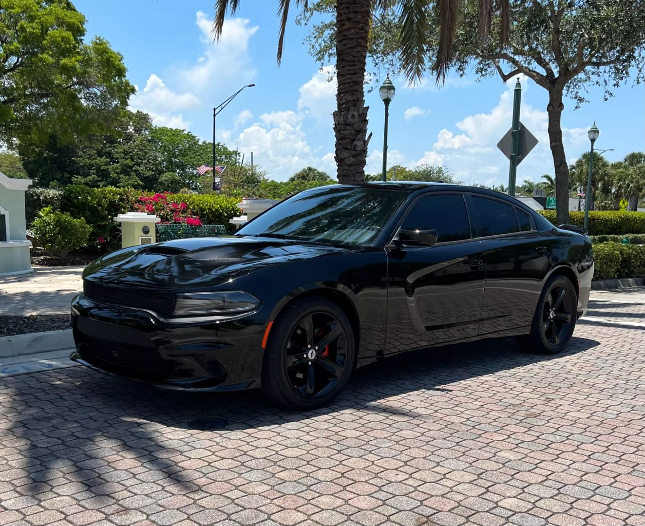 2018 Dodge Charger R/T's photo