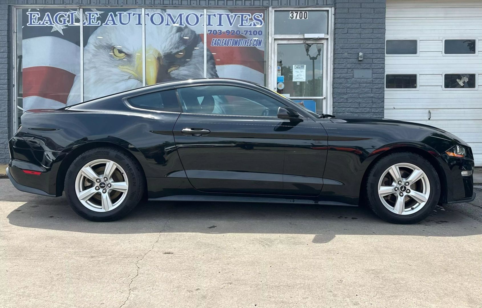 Used 2019 Ford Mustang EcoBoost with VIN 1FA6P8TH5K5133113 for sale in Arlington, VA
