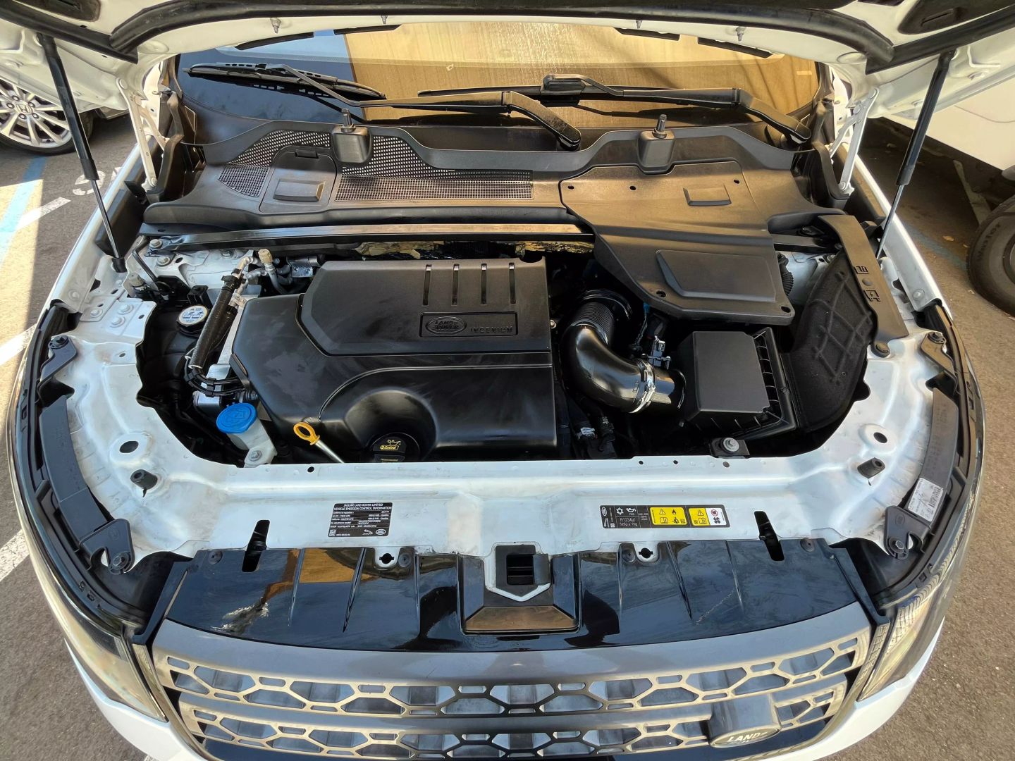 2019 Land Rover Discovery Sport  Vin: Salcp2fxxkh810080 Stock Id: 810080 - Image 29