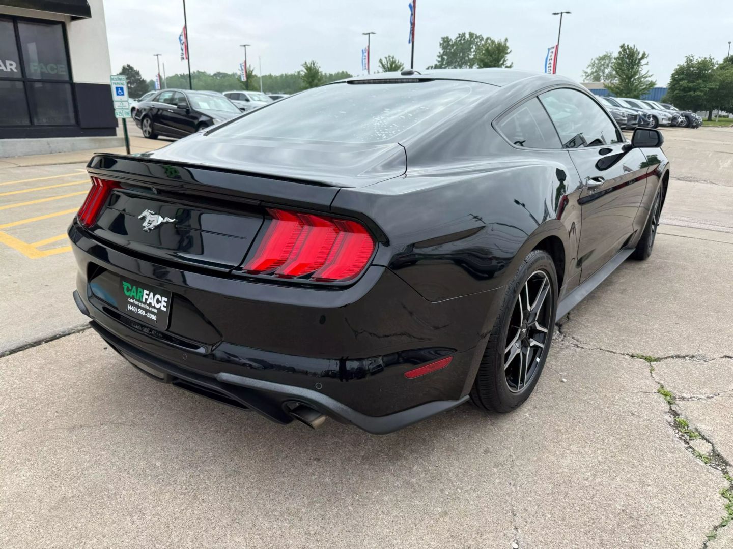 2019 Ford Mustang - Image 14