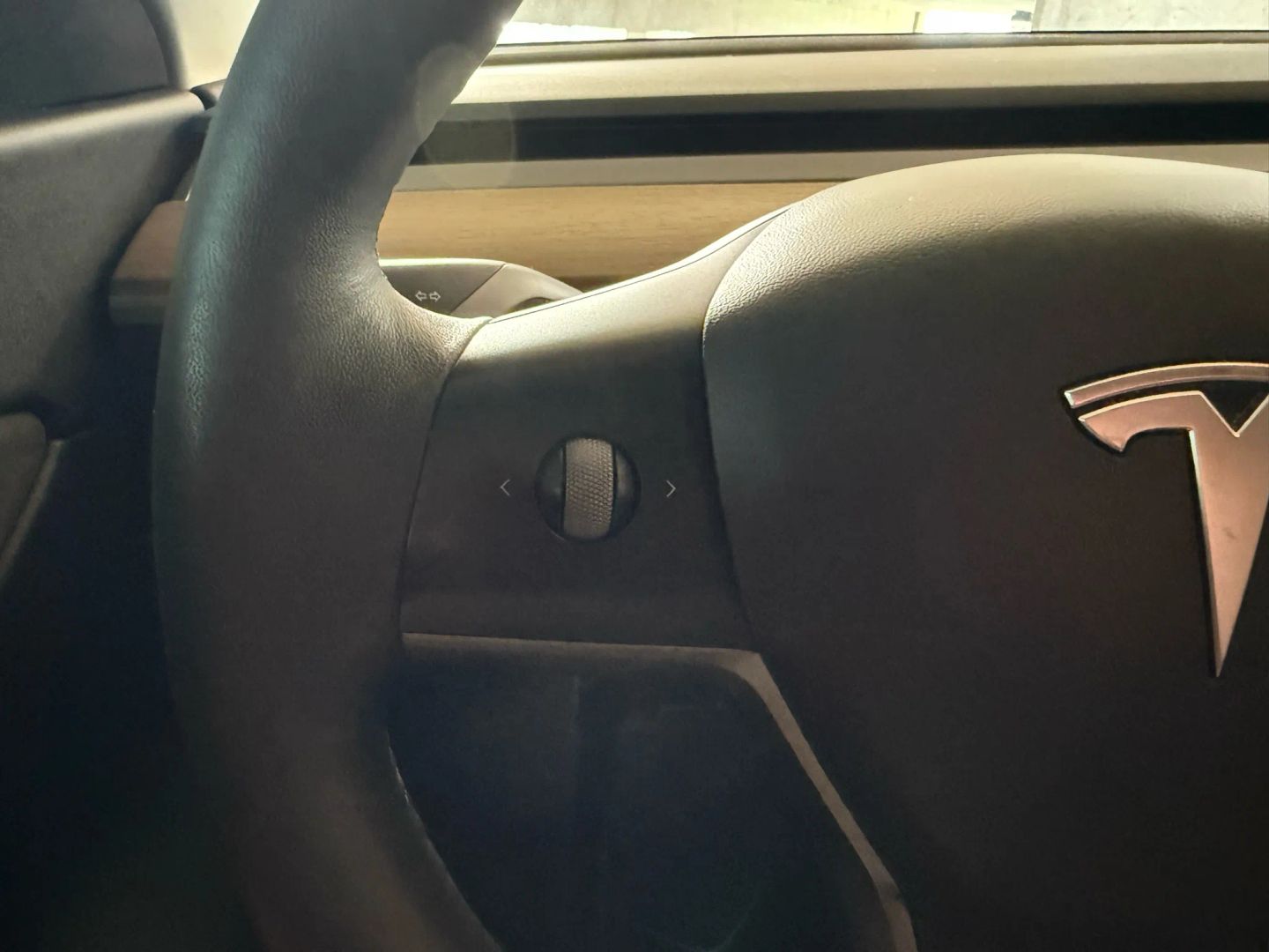2021 Tesla Model Y - Image 20