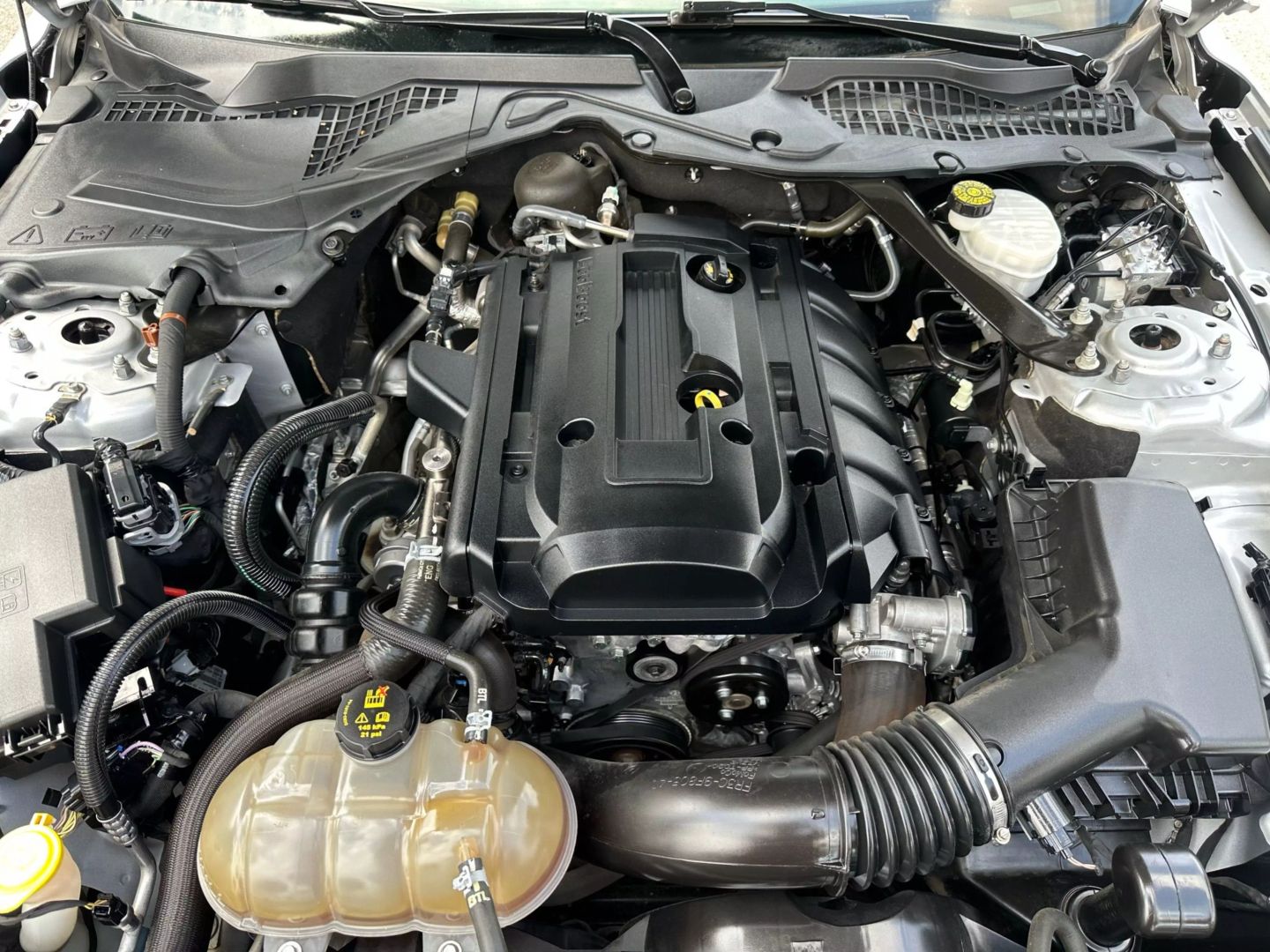 2019 Ford Mustang - Image 51