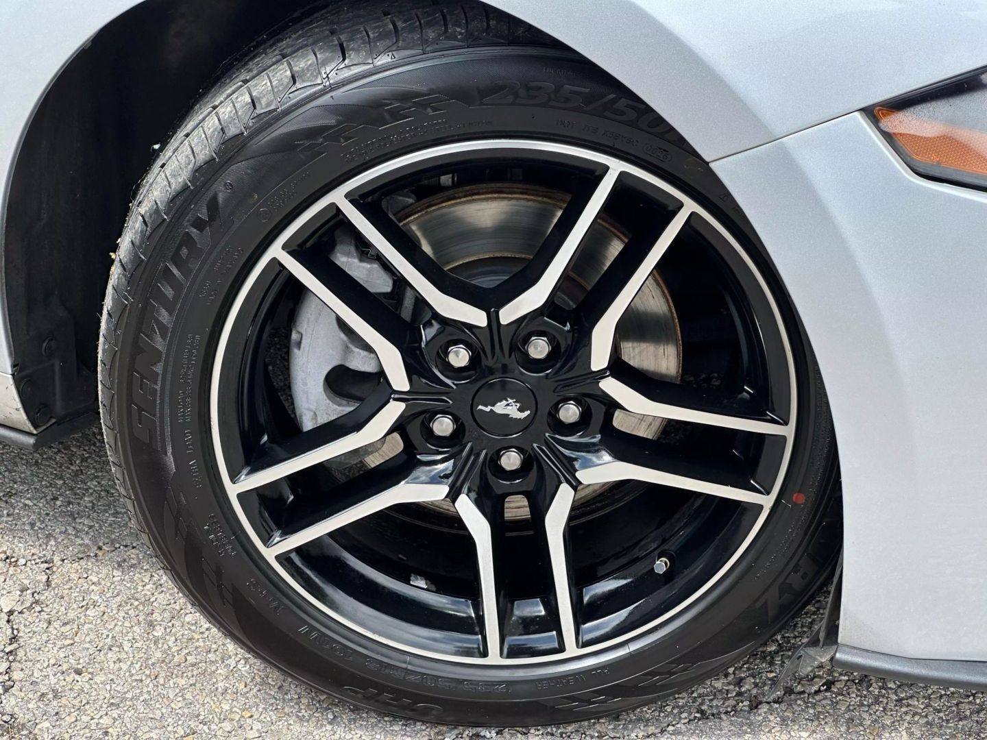 2019 Ford Mustang - Image 48
