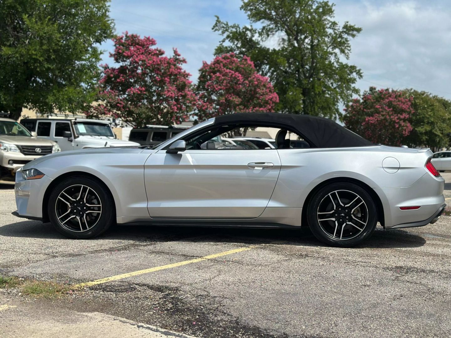 2019 Ford Mustang - Image 5