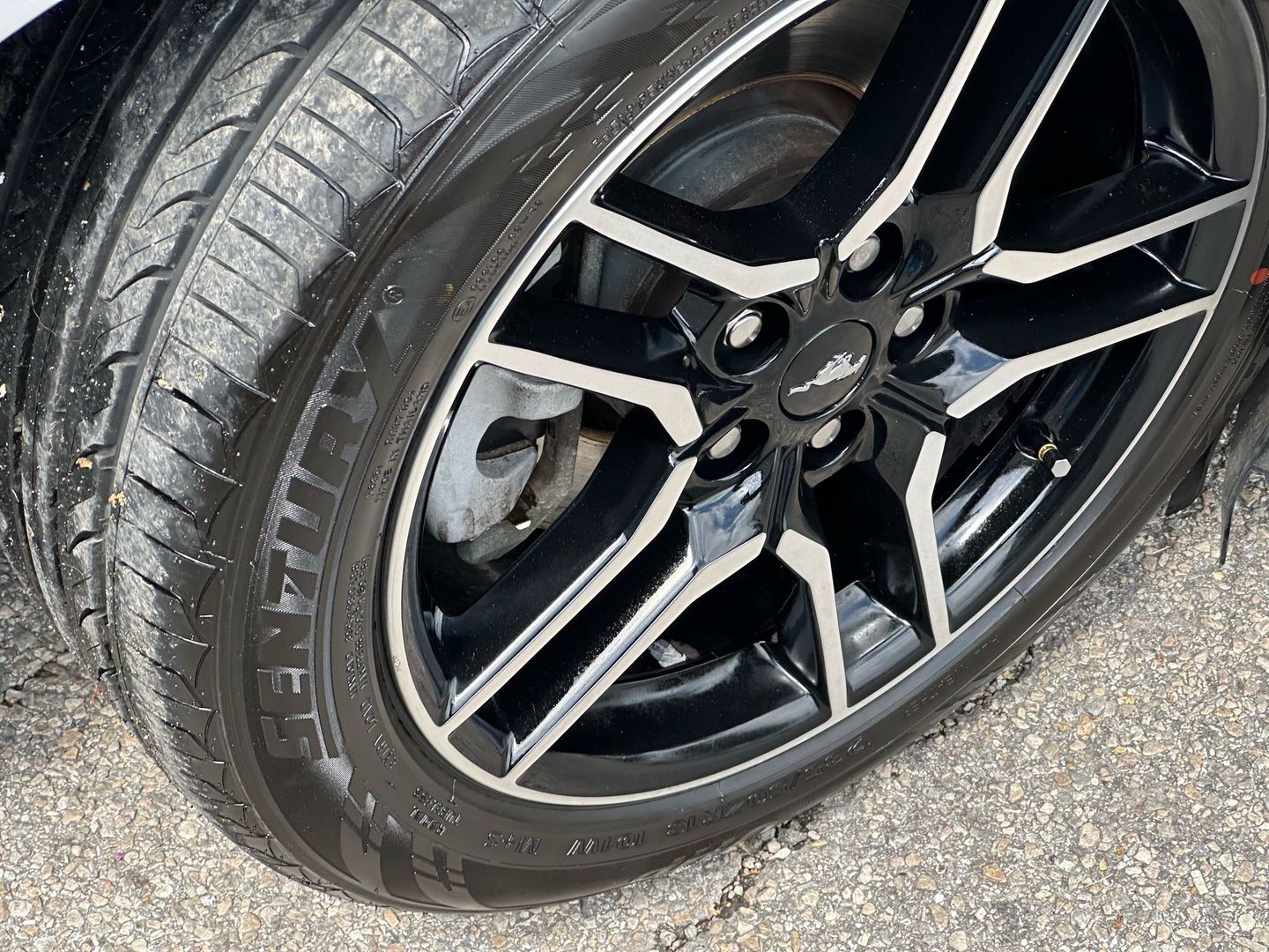 2019 Ford Mustang - Image 49