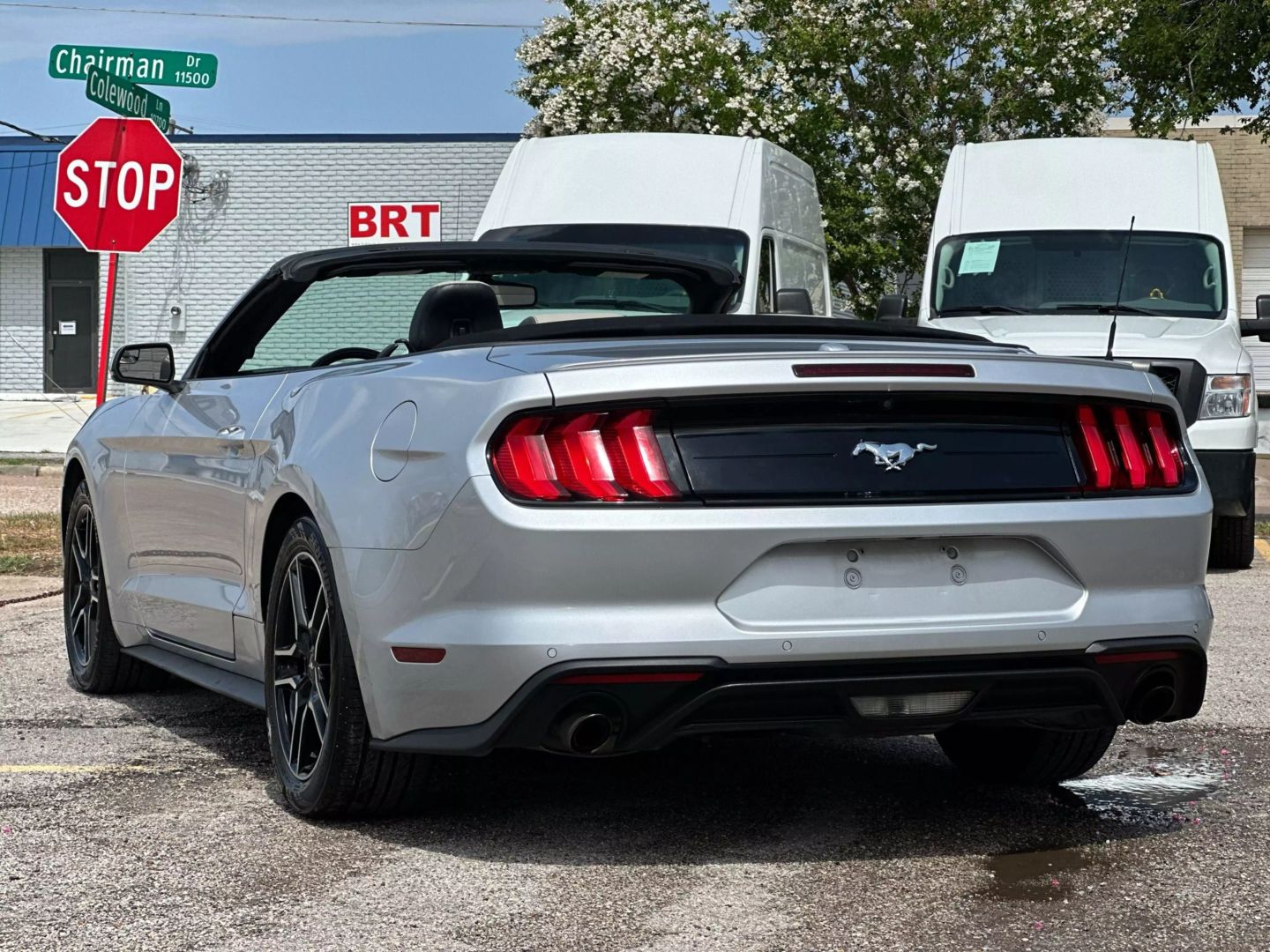 2019 Ford Mustang - Image 6