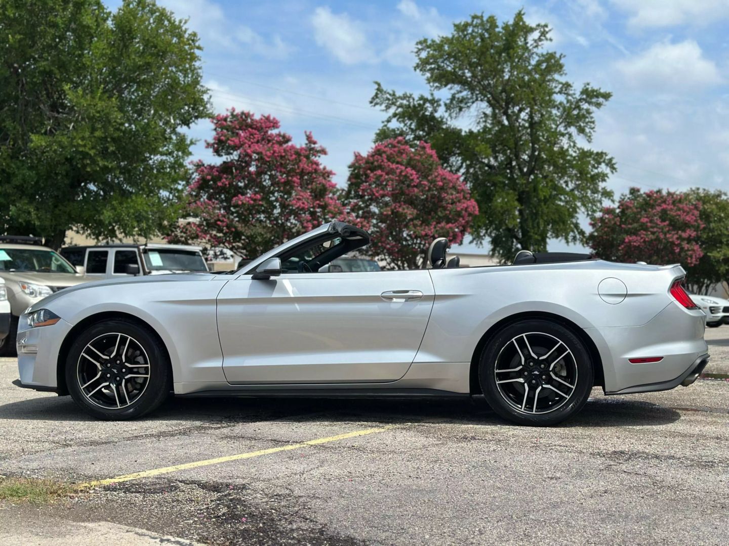 2019 Ford Mustang - Image 4