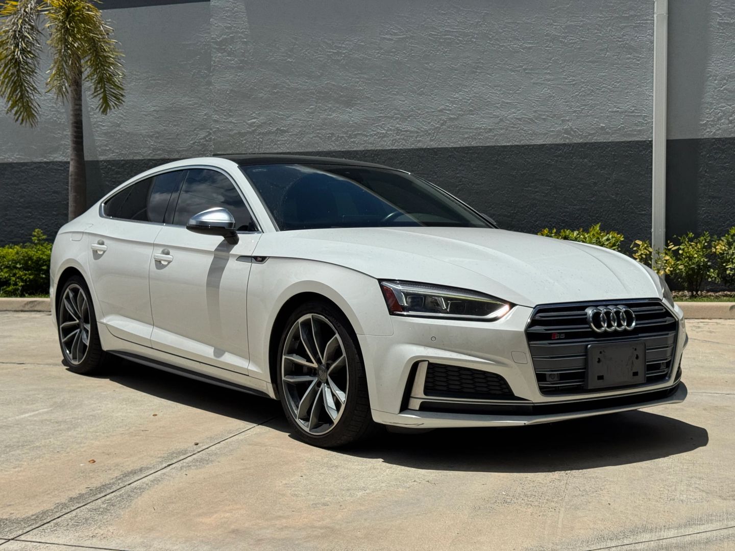 2019 Audi S5 Sportback 3.0T quattro Premium Plus