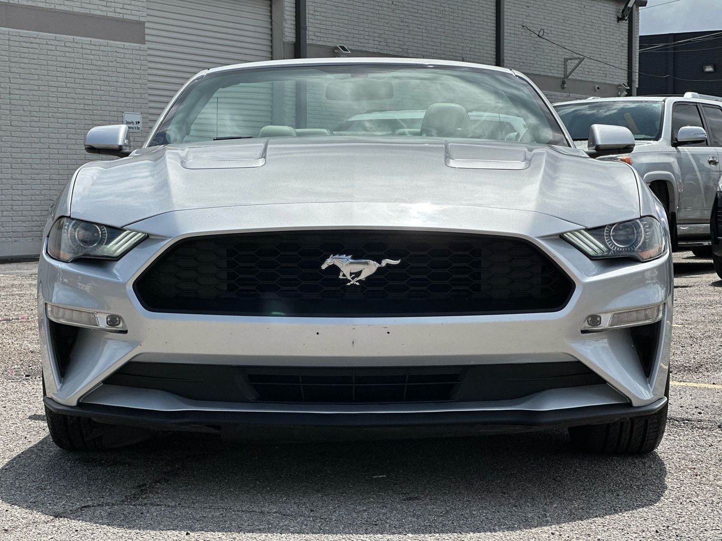 2019 Ford Mustang - Image 18