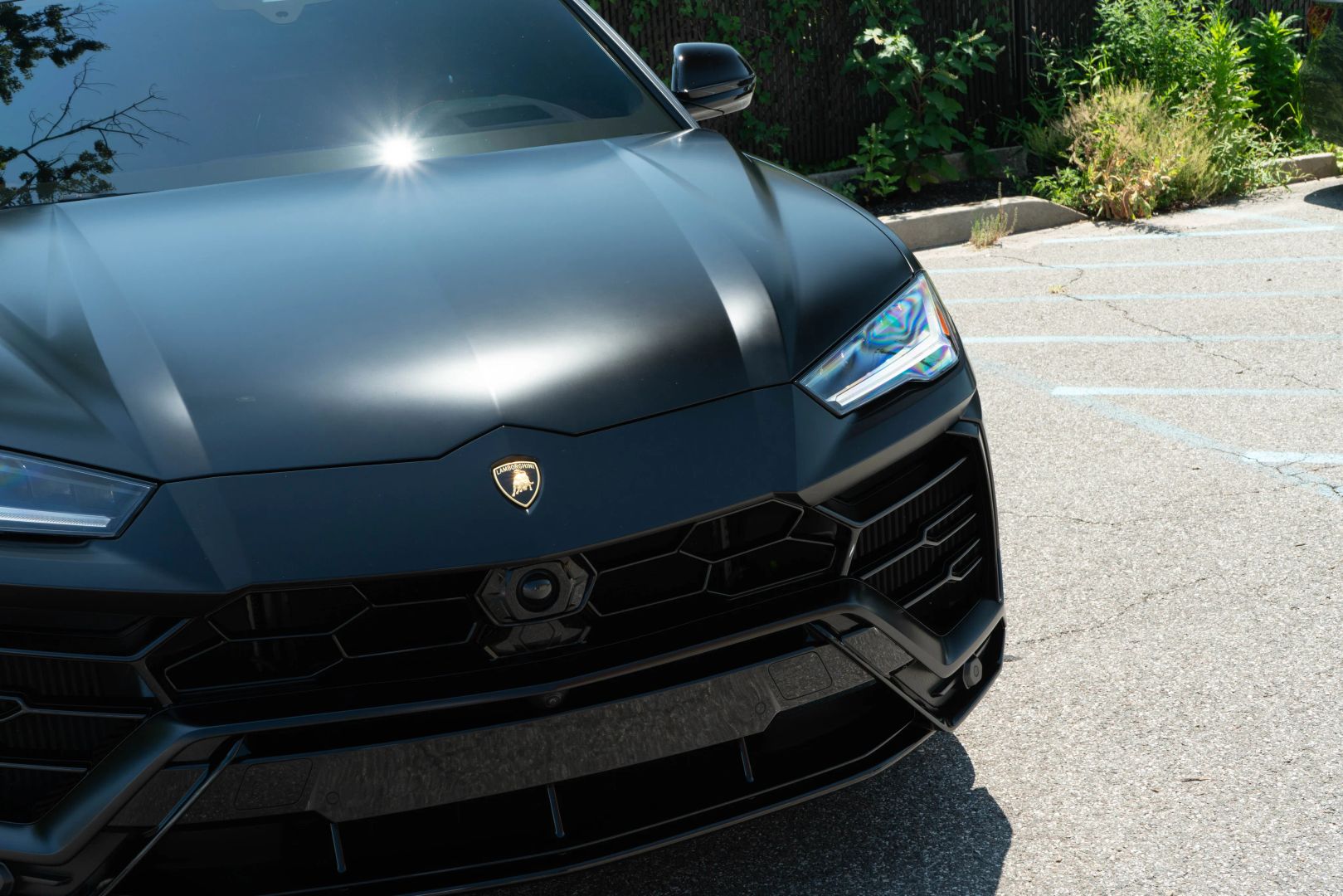 2022 Lamborghini Urus - Image 5