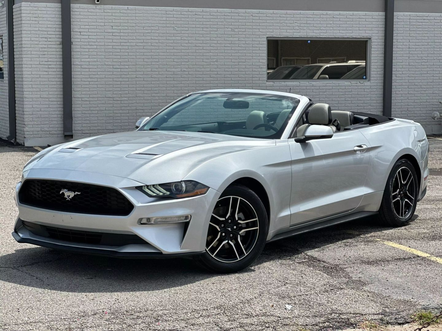 2019 Ford Mustang - Image 2