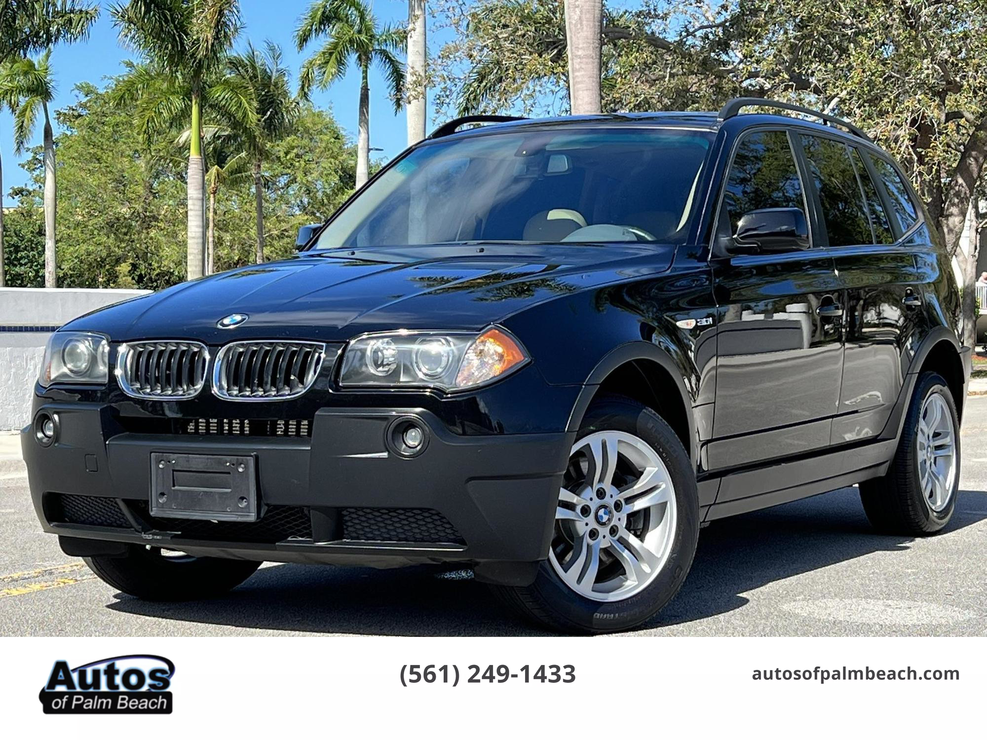 2004 BMW X3 3.0i photo 48