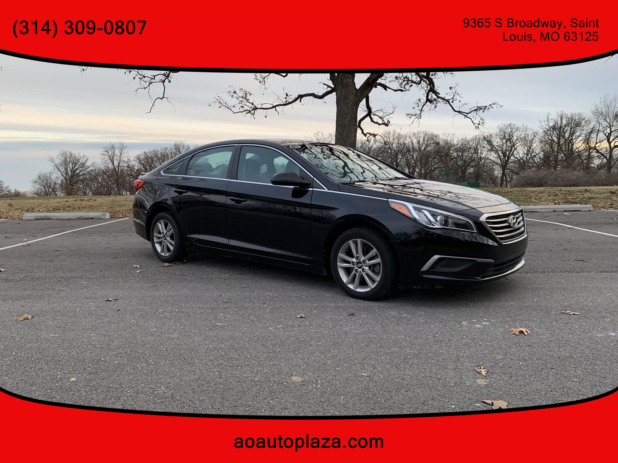 2016 Hyundai Sonata SE photo 16