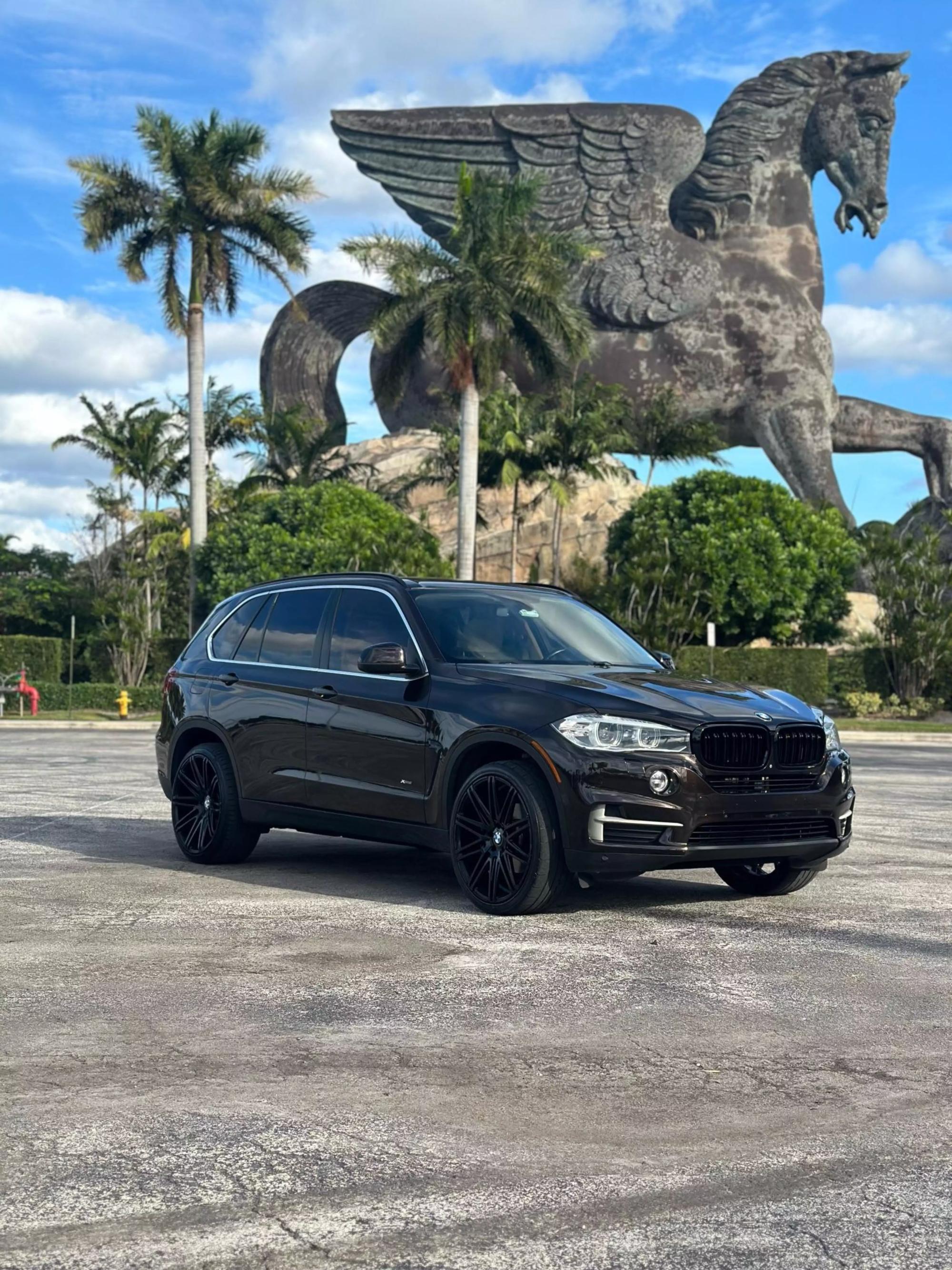 2014 BMW X5 xDrive35i photo 13