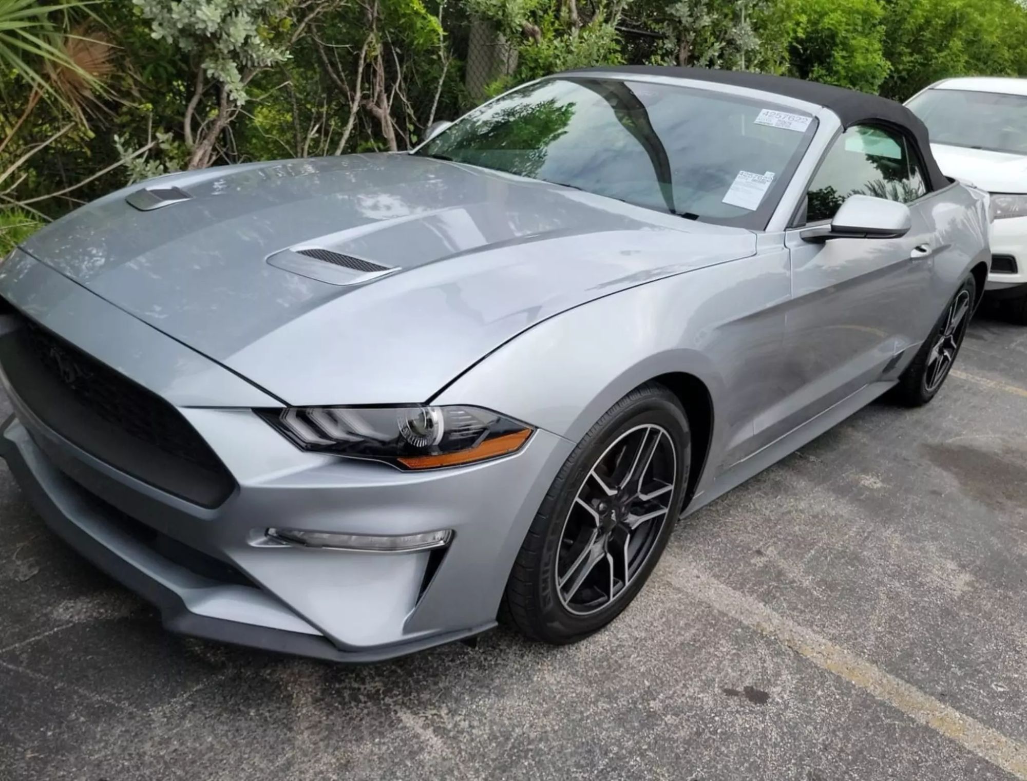 2023 Ford Mustang EcoBoost photo 9