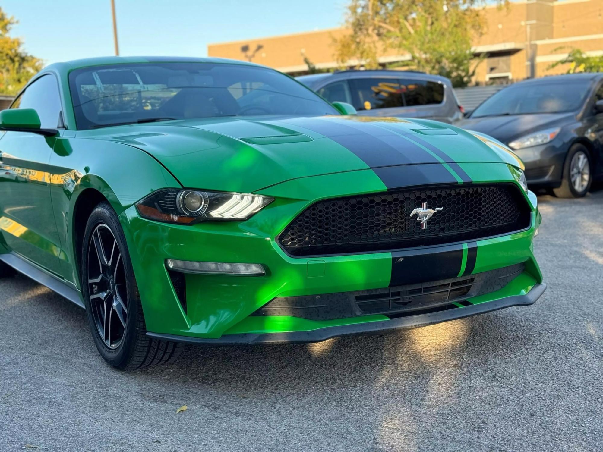 2019 Ford Mustang EcoBoost photo 24