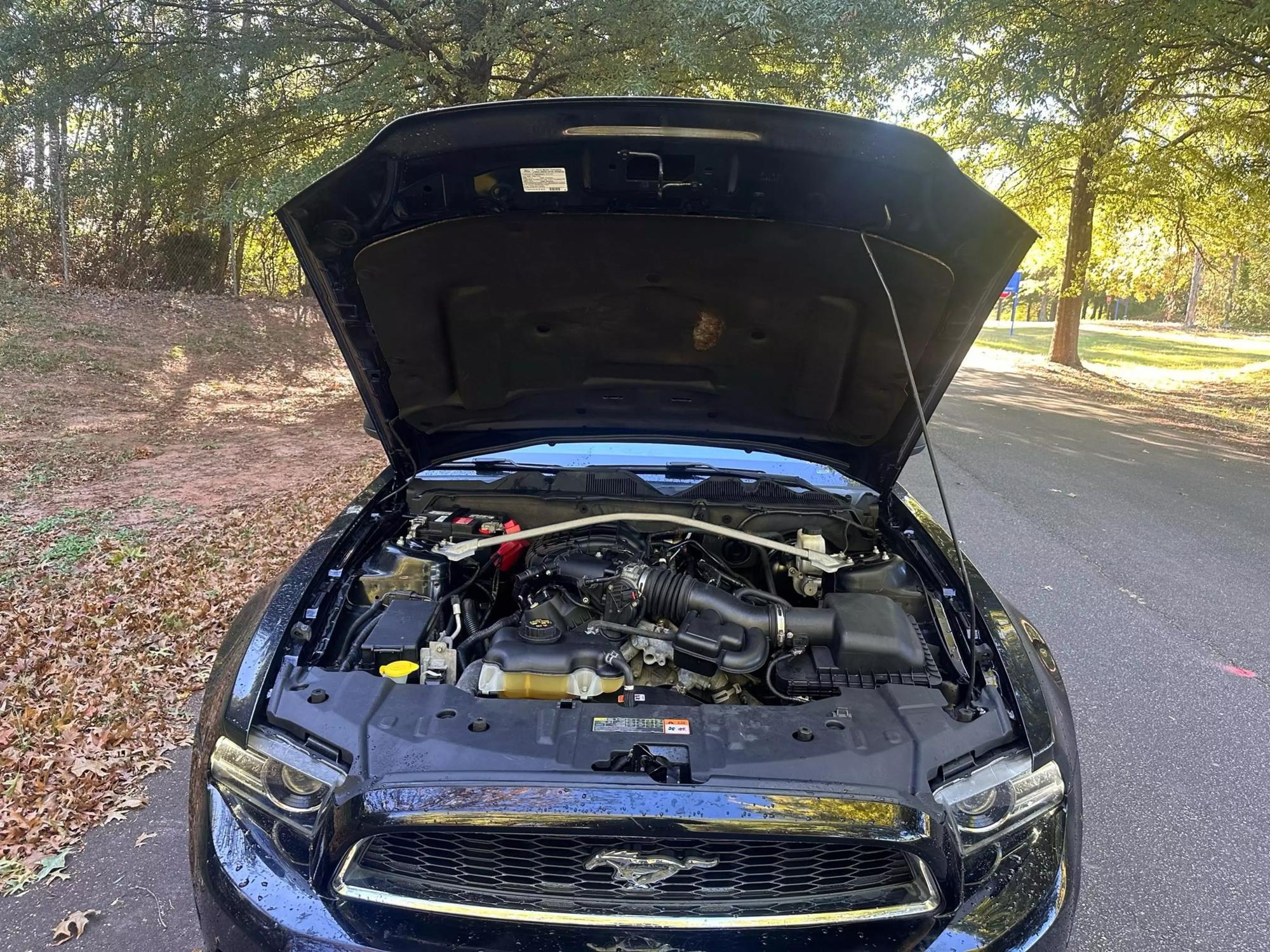 2013 Ford Mustang V6 photo 46