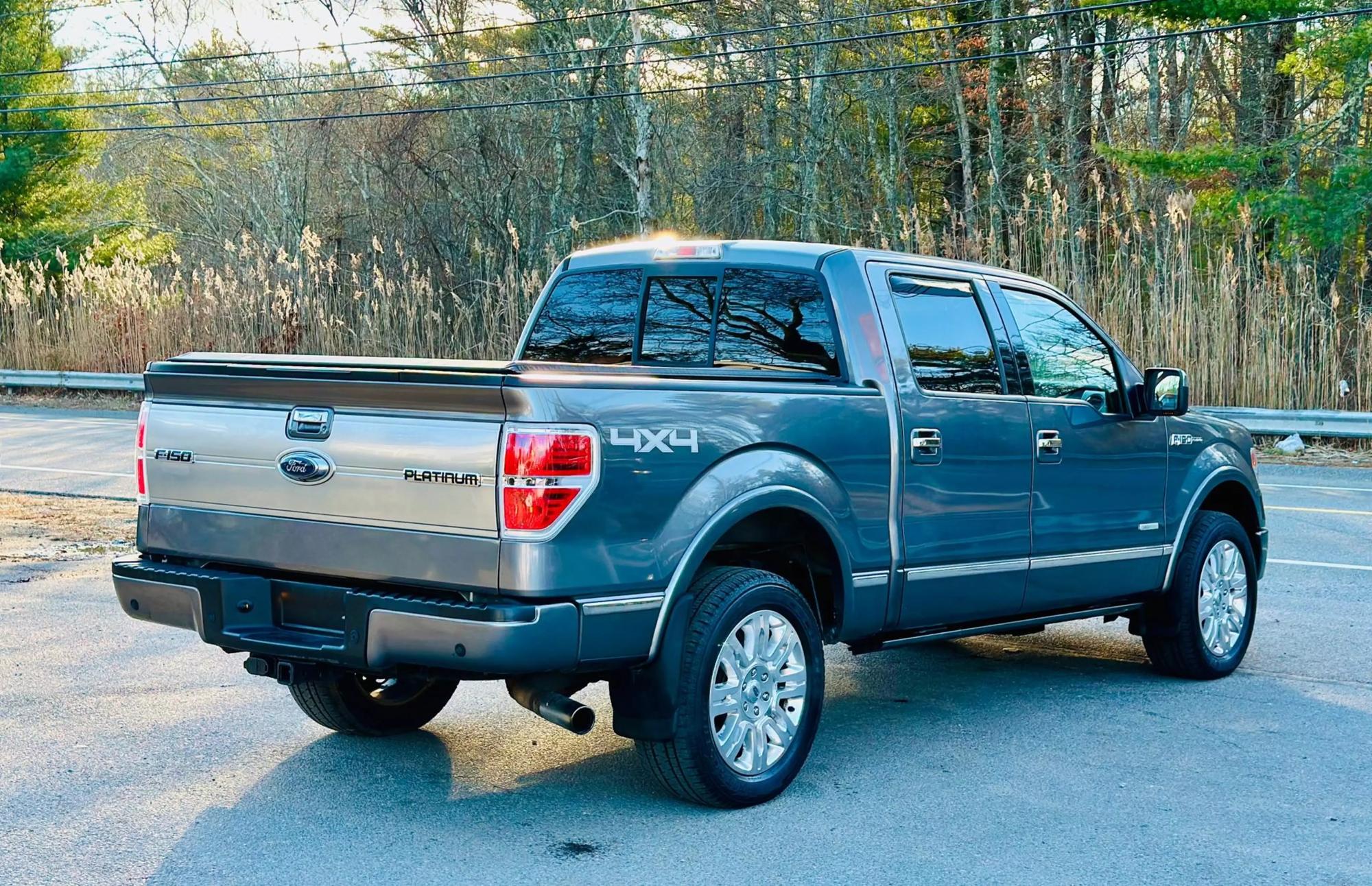 2014 Ford F-150 Platinum photo 53