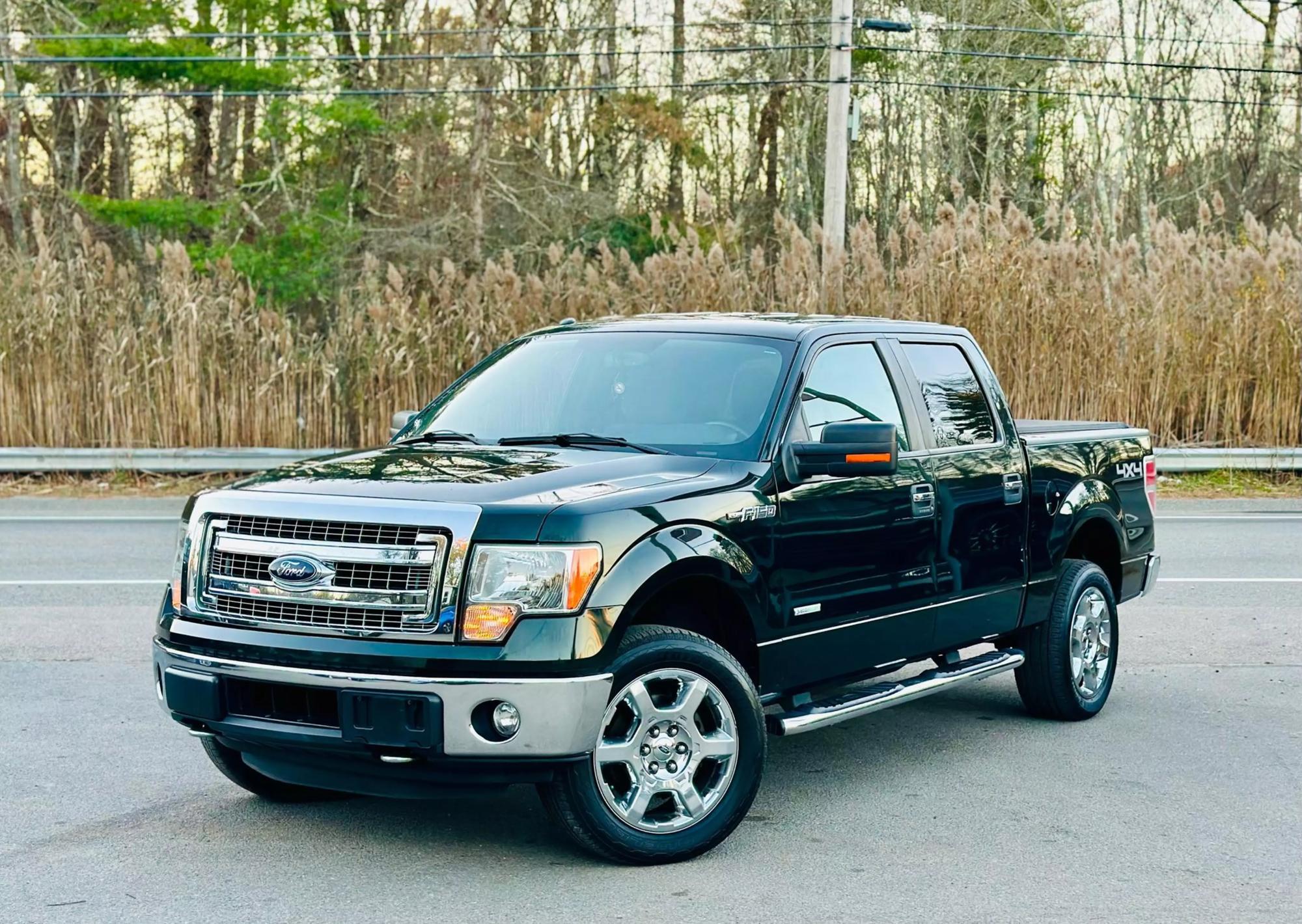 2014 Ford F-150 XL photo 35