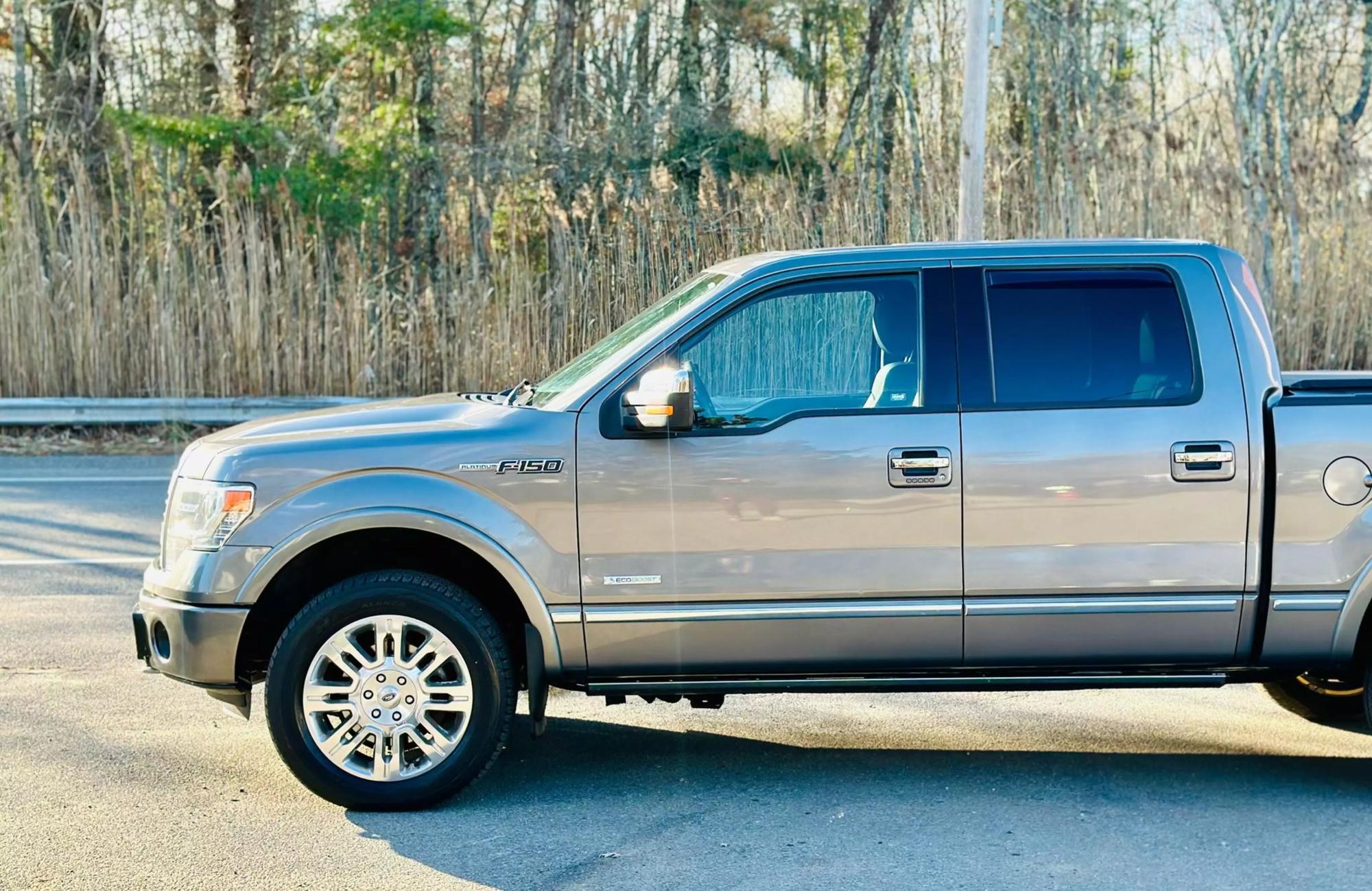 2014 Ford F-150 Platinum photo 44