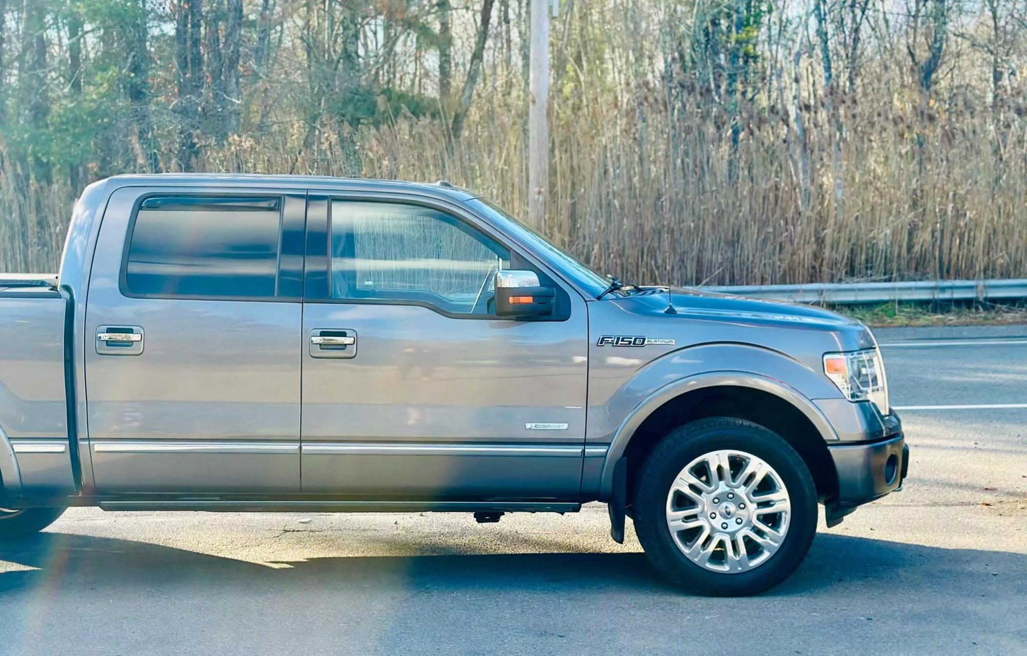 2014 Ford F-150 Platinum photo 49