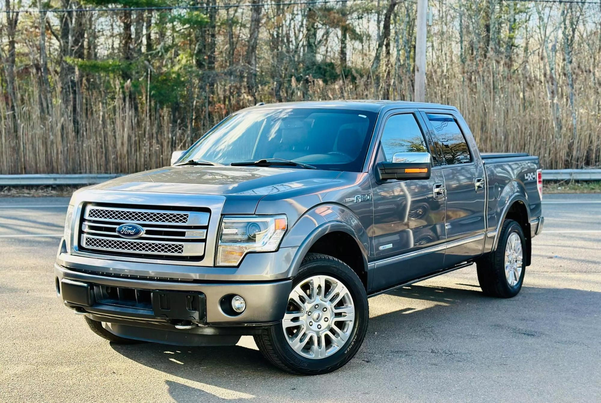 2014 Ford F-150 Platinum photo 38