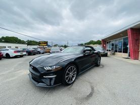 2019 FORD MUSTANG CONVERTIBLE 4-CYL, TURBO, ECOBOOST, 2.3 LITER ECOBOOST PREMIUM CONVERTIBLE 2D - LA Auto Star