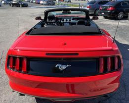 2017 FORD MUSTANG CONVERTIBLE 4-CYL, ECOBOOST, 2.3T ECOBOOST PREMIUM CONVERTIBLE 2D at World Car Center & Financing LLC in Kissimmee, FL