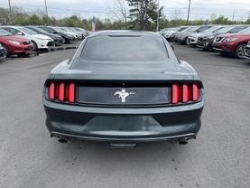 2015 FORD MUSTANG COUPE GREEN AUTOMATIC - Faris Auto Mall
