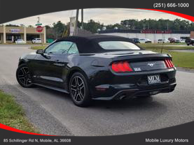 2020 FORD MUSTANG CONVERTIBLE 4-CYL, TURBO, ECOBOOST, 2.3 LITER ECOBOOST PREMIUM CONVERTIBLE 2D - Mobile Luxury Motors in Mobile, AL