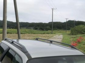 1998 NISSAN STAGEA WAGON RB25DET NEO 25T X FOUR