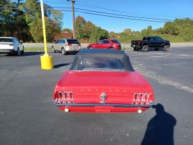 1967 FORD MUSTANG - - - - Champion Sales & Service in Rock Hill, South Carolina 34.92860716780961, -80.99338073166923