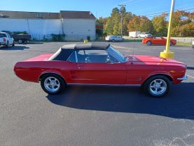 1967 FORD MUSTANG - - - - Champion Sales & Service in Rock Hill, South Carolina 34.92860716780961, -80.99338073166923