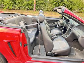 2001 FORD MUSTANG COBRA CONVERTIBLE CONVERTIBLE RED MANUAL - Citywide Auto Group LLC
