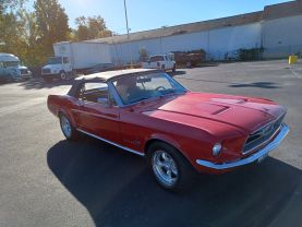 1967 FORD MUSTANG - - - - Champion Sales & Service in Rock Hill, South Carolina 34.92860716780961, -80.99338073166923