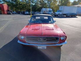 1967 FORD MUSTANG - - - - Champion Sales & Service in Rock Hill, South Carolina 34.92860716780961, -80.99338073166923