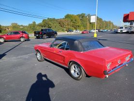 1967 FORD MUSTANG - - - - Champion Sales & Service in Rock Hill, South Carolina 34.92860716780961, -80.99338073166923