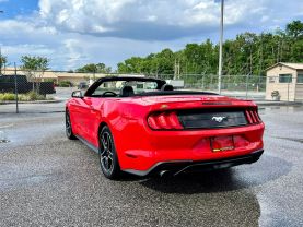 Buy Quality Used 2020 FORD MUSTANG CONVERTIBLE RED AUTOMATIC - Concept Car Auto Sales located in Orlando, FL