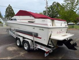 1989 SEA RAY 230 WEEKENDER 23 FT - -