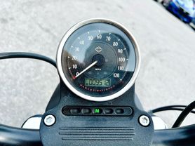 2019 HARLEY-DAVIDSON XL883N IRON 883 CRUISERS - -