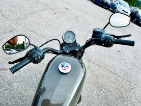 2019 HARLEY-DAVIDSON XL883N IRON 883 CRUISERS - -