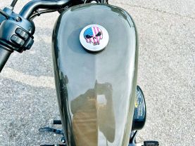 2019 HARLEY-DAVIDSON XL883N IRON 883 CRUISERS - -