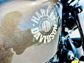 2020 HARLEY-DAVIDSON XL883N IRON 883 CRUISERS - -