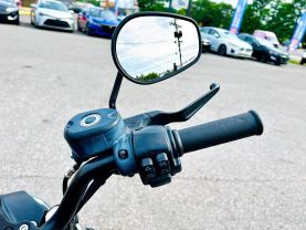 2019 HARLEY-DAVIDSON XL883N IRON 883 CRUISERS - -