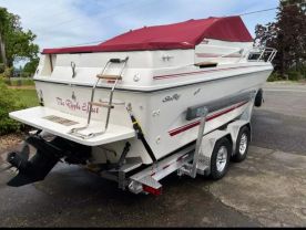1989 SEA RAY 230 WEEKENDER 23 FT - -