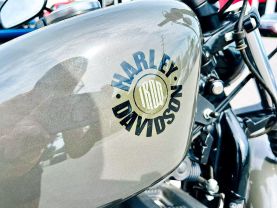 2019 HARLEY-DAVIDSON XL883N IRON 883 CRUISERS - -