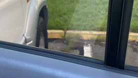 1997 TOYOTA LAND CRUISER PRADO SUV 1KZ-TE TX LIMITED
