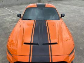 2020 FORD MUSTANG COUPE V8, 5.0 LITER GT COUPE 2D